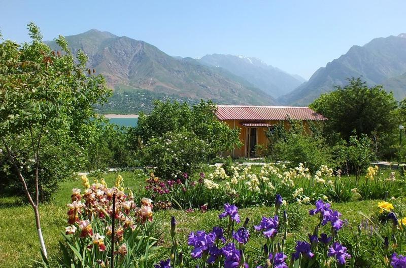 Avenue Park Hotel Yusufkhona Kültér fotó